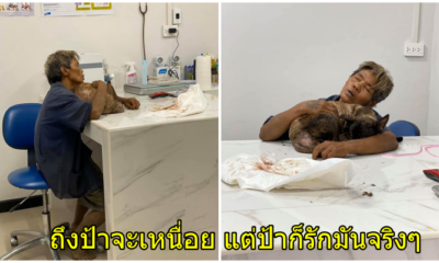 ภาพสุดซึ้งอบอุ่นใจ...ป้าพาหมามาผ่าคลอด แม้จะเหนื่อยแต่ขอกอดตูบสุดรักในอ้อมแขน - WORLD OF BUZZ