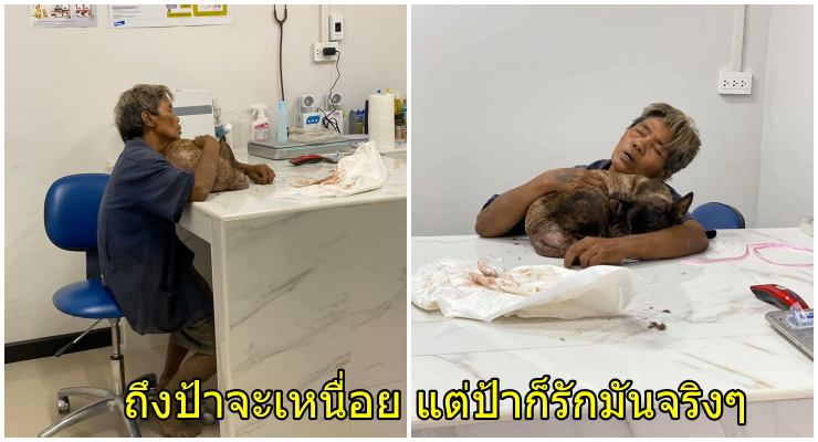 ภาพสุดซึ้งอบอุ่นใจ...ป้าพาหมามาผ่าคลอด แม้จะเหนื่อยแต่ขอกอดตูบสุดรักในอ้อมแขน - WORLD OF BUZZ