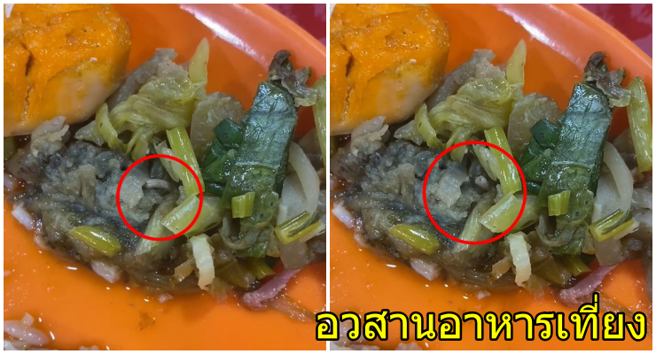 สาวผงะ! สั่งข้าวขาหมู ดันเจอของแถมในจาน กระดึ๊บไปมาเป็นสิบตัว อ้วกแทบพุ่ง - WORLD OF BUZZ
