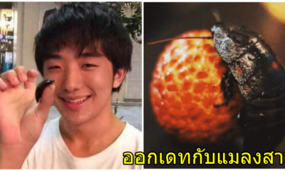 สุดแปลก! หนุ่มญี่ปุ่นออกเดทกับแมลงสาบสาว บอกรักมาก ฝันอยากมีเซ็กส์ด้วยกัน - WORLD OF BUZZ