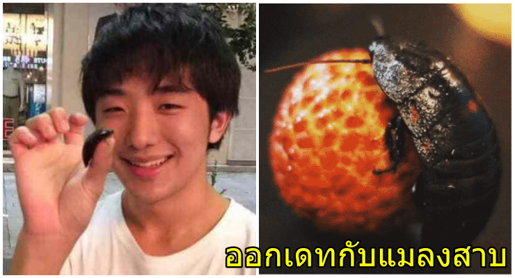 สุดแปลก! หนุ่มญี่ปุ่นออกเดทกับแมลงสาบสาว บอกรักมาก ฝันอยากมีเซ็กส์ด้วยกัน - WORLD OF BUZZ