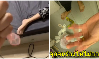 หนุ่มหล่อใจแตกสลาย! จับได้แฟนสาวมีกิ๊ก พามาที่ห้อง ค้นถังขยะเจอถุงยางใช้แล้ว - WORLD OF BUZZ