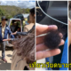 หนุ่มไทยโพตส์เตือนอุทาหรณ์ ไปเวียดนาม เจอเจ้าถิ่นแซงคิว-จิกหัวตบ ผมหลุดเป็นกระจุก - WORLD OF BUZZ
