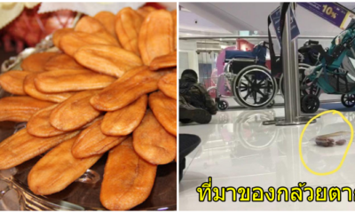 เปิดที่มา "กล้วยตาก" ในคลิปนาทีปะทะคนร้ายกราดยิงโคราช โดดเด่นสะดุดตาชาวเน็ตซะเหลือเกิน - WORLD OF BUZZ 1