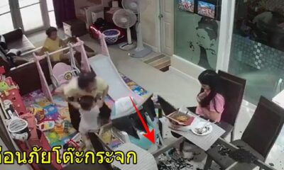 คลิปเตือนภัย! กระจกโต๊ะกินข้าว จู่ๆ ระเบิดแตกกระจาย ขณะมีเด็กน้อยนั่งอยู่ใกล้ๆ - WORLD OF BUZZ