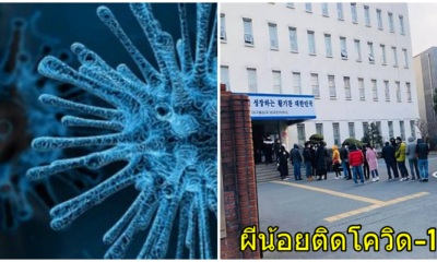 พบผีน้อยลักลอบเข้าเกาหลีรายแรก ติดเชื้อโควิด-19 เป็นสาวไทยอายุ27ปี - WORLD OF BUZZ