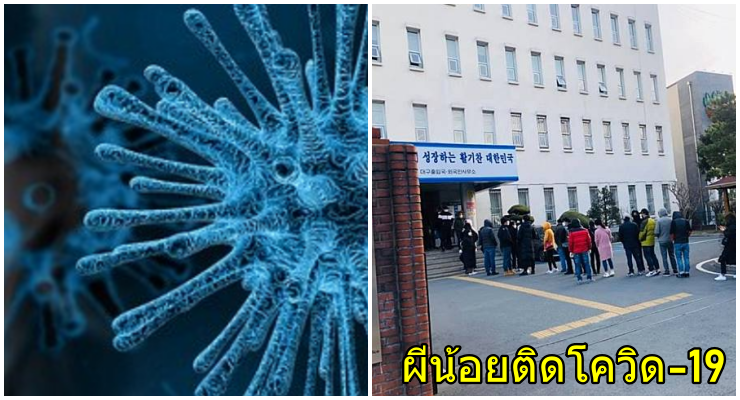 พบผีน้อยลักลอบเข้าเกาหลีรายแรก ติดเชื้อโควิด-19 เป็นสาวไทยอายุ27ปี - WORLD OF BUZZ