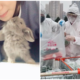 สาวไทยในจีน เล่าประสบการณ์พร้อมเผยวิธีใช้ชีวิตท่ามกลาง COVID ในเมืองหางโจว - WORLD OF BUZZ