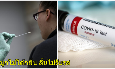 แพทย์ทั่วโลกพบ จมูกไม่ได้กลิ่น-ลิ้นไม่รับรส เป็นข้อบ่งชี้ใหม่ ว่าติด COVID-19 - WORLD OF BUZZ