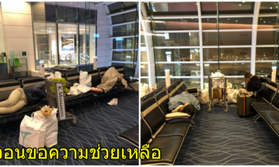 นร. ไทยขอความช่วยเหลือ ติดค้างที่ญี่ปุ่น ใช้ชีวิตในสนามบิน นอนหน้าเกต นานวันกลัวติดโควิด 19 - WORLD OF BUZZ