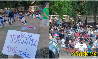 ภาพสลดกลางกรุง! ประชาชนต่อคิวเป็นระเบียบแน่นสวนลุม ขอข้าวกิน เขียนป้ายสุดหดหู่ - WORLD OF BUZZ