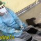สุดสงสาร "หมออนามัยหญิง" อยู่เวรที่ศูนย์โควิด-19 นั่งหลับคาชุด PPE ที่ประยุกต์ใช้เอง - WORLD OF BUZZ