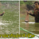 หนุ่มก่อสร้าง ตกงานเพราะโควิด ไม่ได้เงิน 5,000 ออกหาปลาประทังหิว - WORLD OF BUZZ