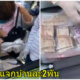 แม่ 'ธนาธร'มาเอง แจกเงินสด2พัน-หน้ากาก-ข้าวสาร แก่ชาวบ้านบางพลี เยียวยาวิกฤตโควิด-19 - WORLD OF BUZZ