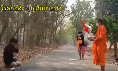 โรคก็กลัว บุญก็อยากทำ! มิติใหม่แห่งการตักบาตรยุคโควิด ที่คนบอก ต้องซ้อมเสียแล้ว - WORLD OF BUZZ 1