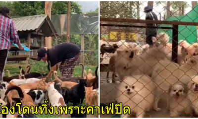 คาเฟ่