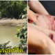 จระเข้