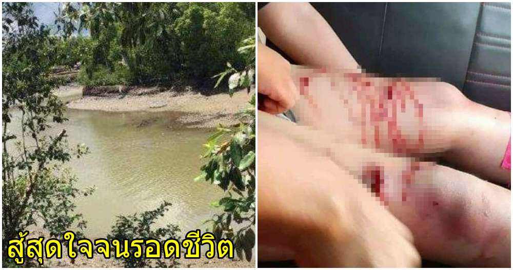 จระเข้
