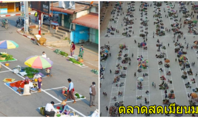 ตลาด