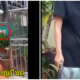 ปืน 1
