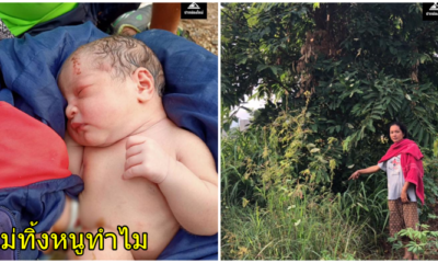 ทิ้งทารก