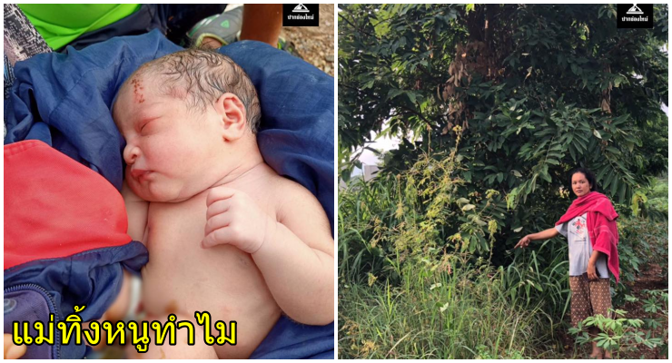 ทิ้งทารก