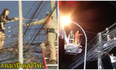ปีนเสา