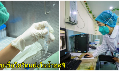 วิจับ