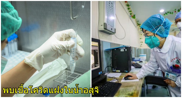 วิจับ