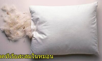 หมอน