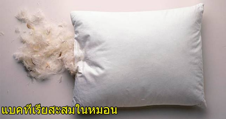 หมอน