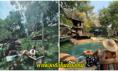 คาเฟ่