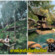 คาเฟ่