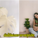 ต้นไม้