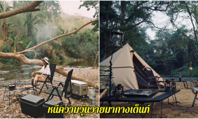เต้นท์