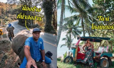 collage 1 4