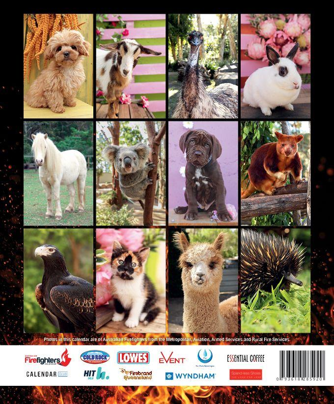 AnimalsOnly2