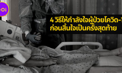 Copy of 4 ค่ายมือถือ จองวัคซีน 1 31 สิงหา 64 2