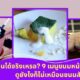 Fleem Template The Joi FBWebsite 1 2
