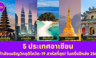Ploy Template The Joi FBWebsite 10