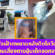 Ploy Template The Joi FBWebsite 11