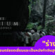 Ploy Template The Joi FBWebsite 13