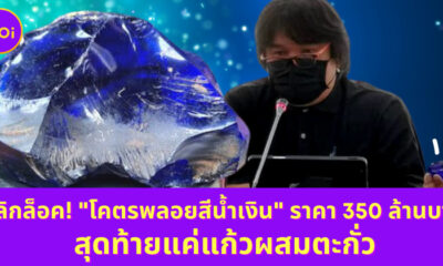 Ploy Template The Joi FBWebsite 15 1