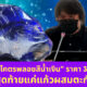 Ploy Template The Joi FBWebsite 15 1