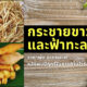 Ploy Template The Joi FBWebsite 17 1