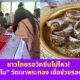 Ploy Template The Joi FBWebsite 2 3