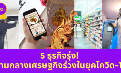 Ploy Template The Joi FBWebsite 2 4