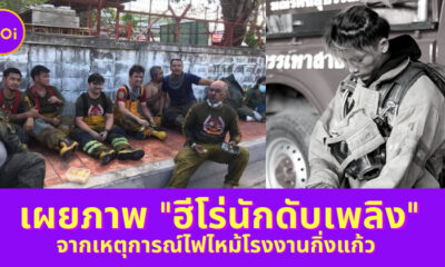 Ploy Template The Joi FBWebsite 2
