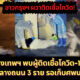 Ploy Template The Joi FBWebsite 26 1