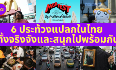 Ploy Template The Joi FBWebsite 4
